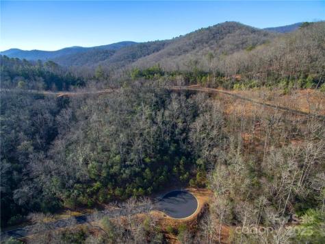 9999 Mayfly Lane Horse Shoe NC 28742