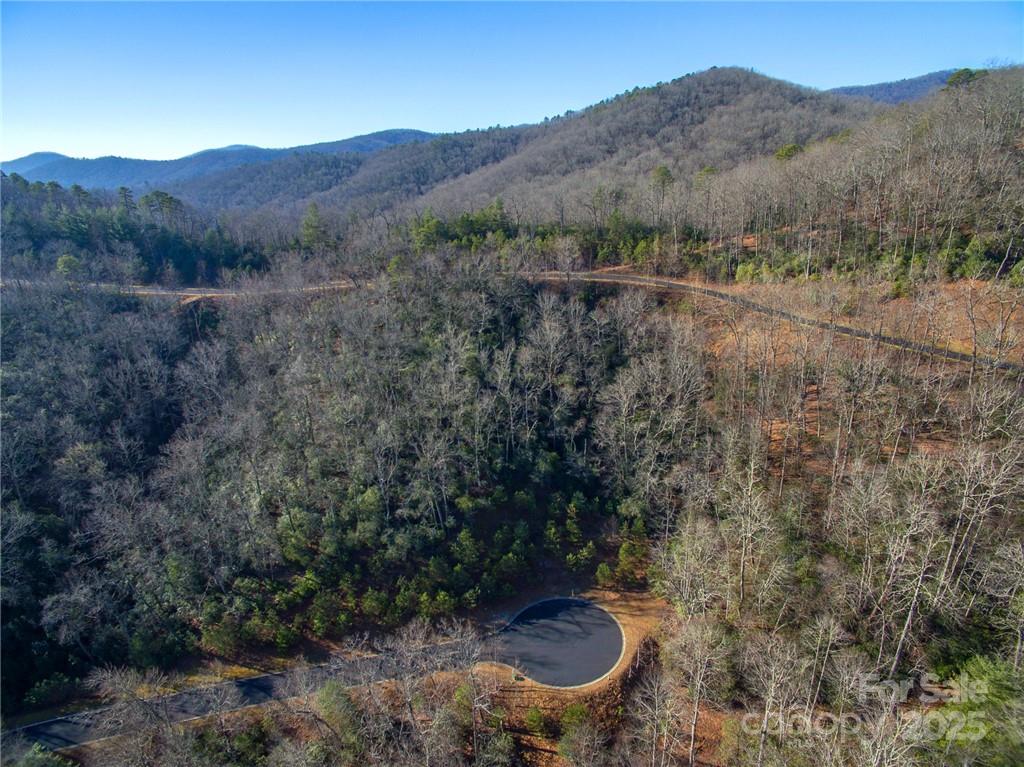 9999 Mayfly Lane Horse Shoe NC 28742