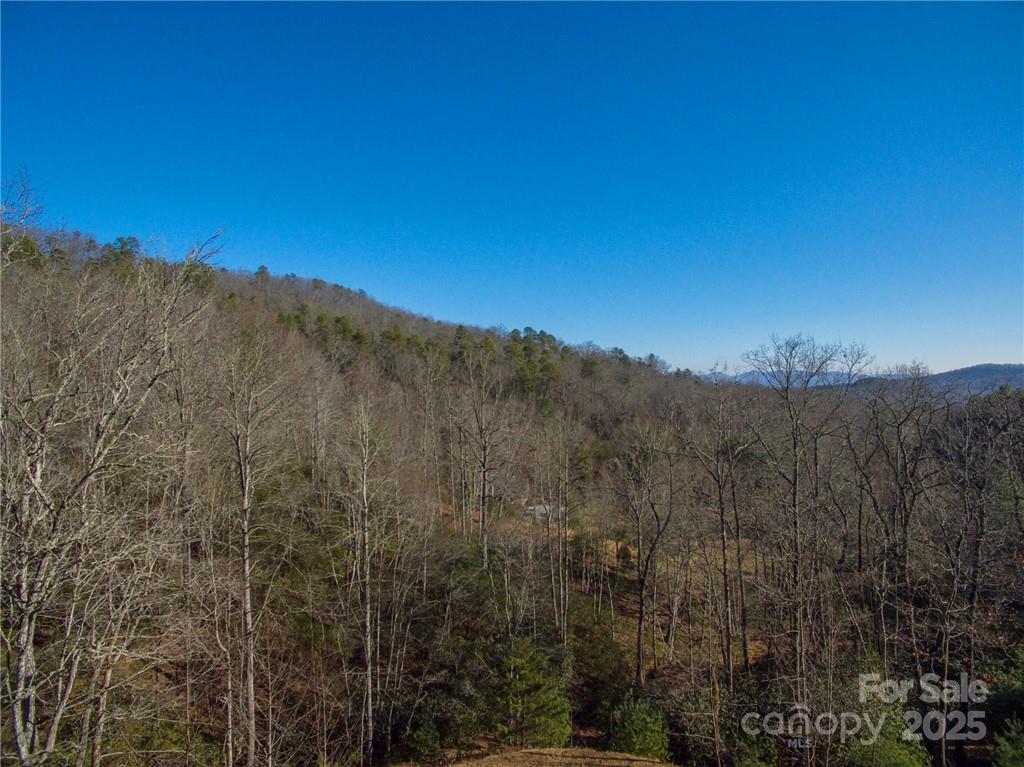 9999 Mayfly Lane Horse Shoe NC 28742