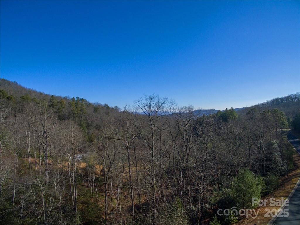 9999 Mayfly Lane Horse Shoe NC 28742