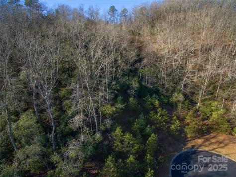9999 Mayfly Lane Horse Shoe NC 28742