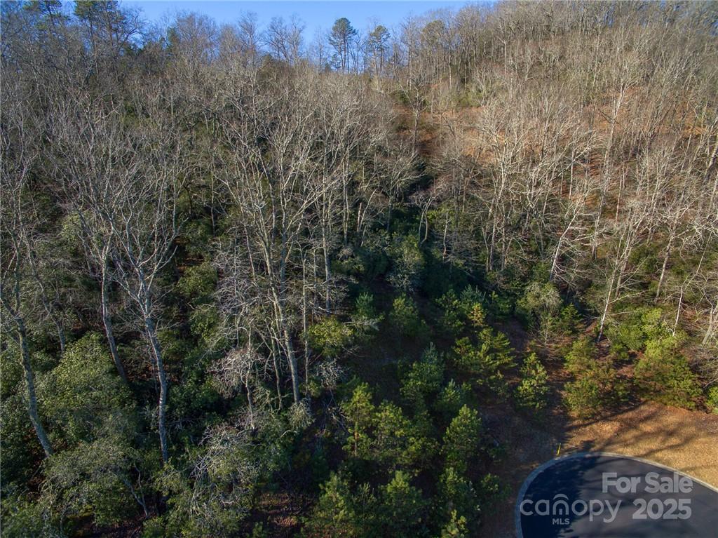 9999 Mayfly Lane Horse Shoe NC 28742