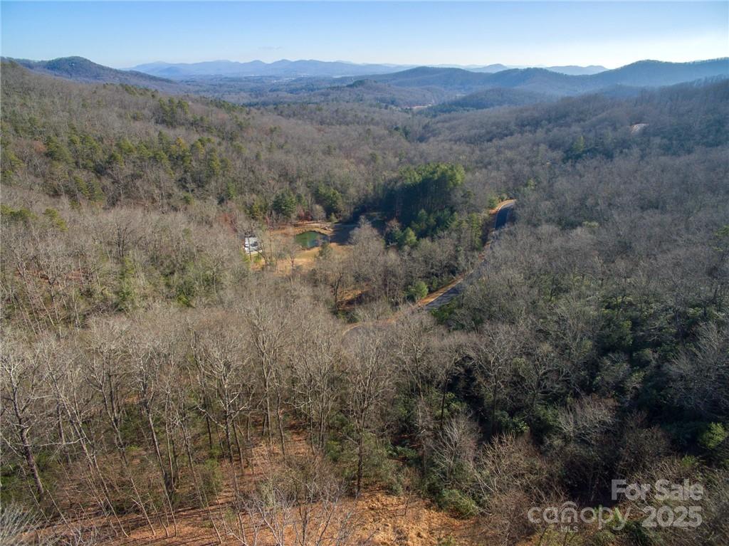 9999 Mayfly Lane Horse Shoe NC 28742