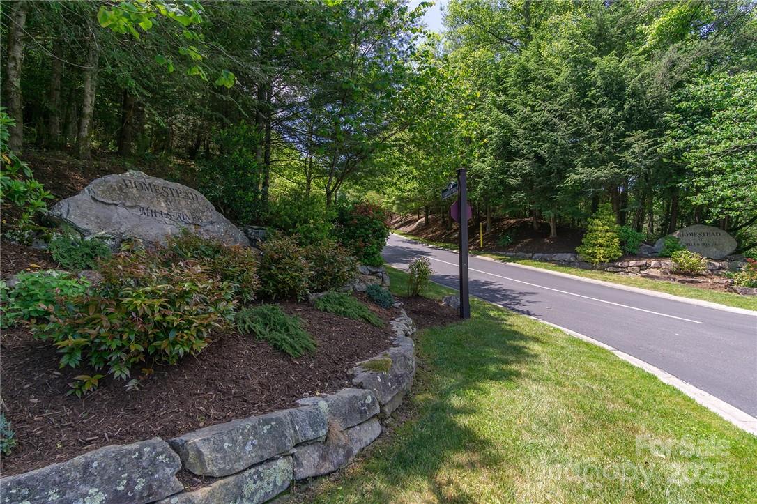 9999 Mayfly Lane Horse Shoe NC 28742