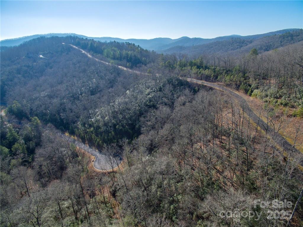9999 Mayfly Lane Horse Shoe NC 28742