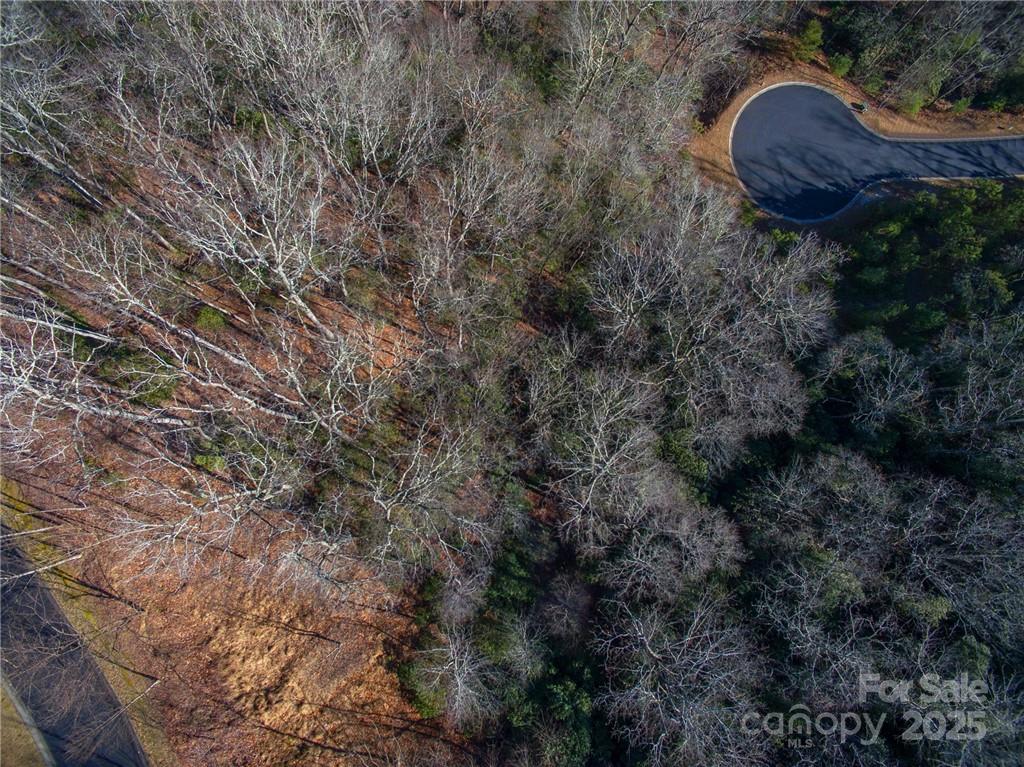 9999 Mayfly Lane Horse Shoe NC 28742