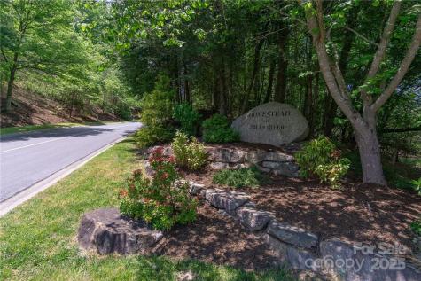 9999 Mayfly Lane Horse Shoe NC 28742