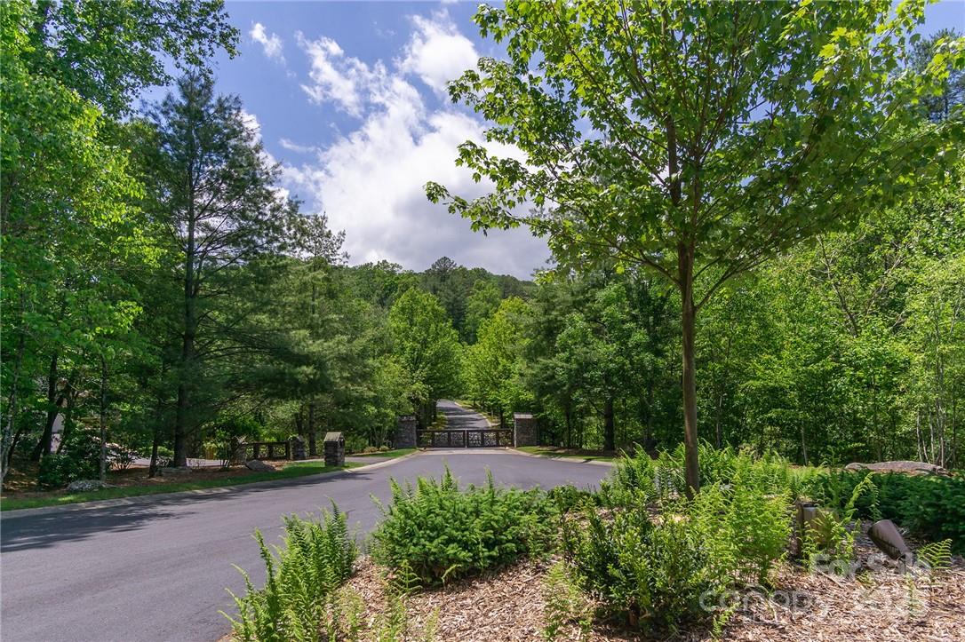 9999 Mayfly Lane Horse Shoe NC 28742