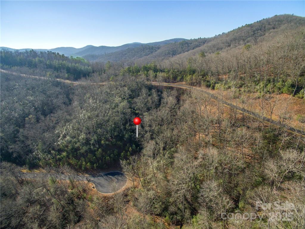 9999 Mayfly Lane Horse Shoe NC 28742