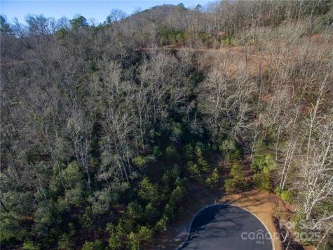 9999 Mayfly Lane Horse Shoe NC 28742
