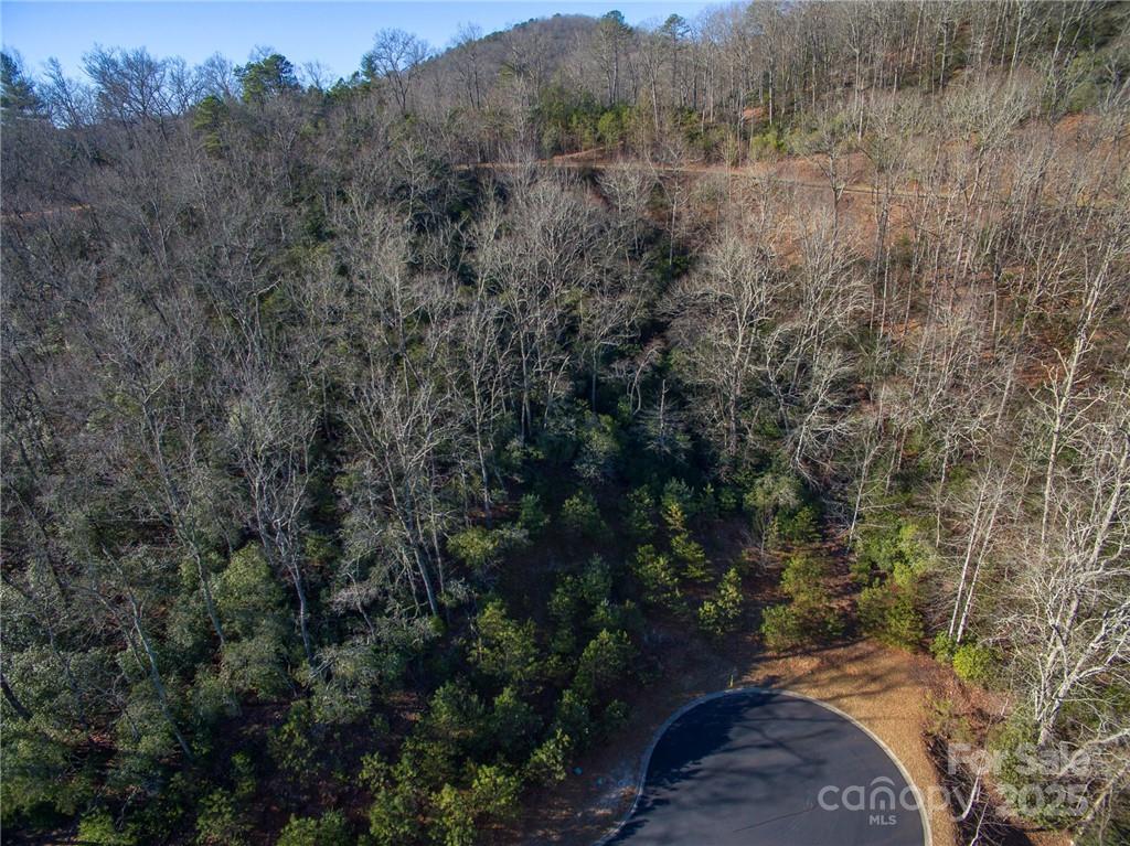 9999 Mayfly Lane Horse Shoe NC 28742