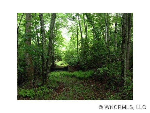 1419 Bear Paw Lane Arden NC 28704