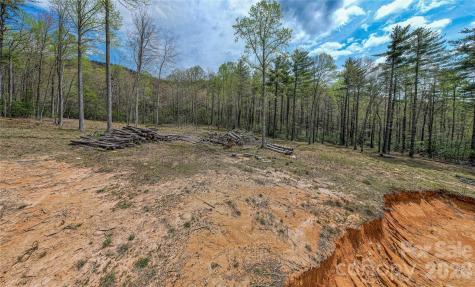 000 Rosman Highway Sapphire NC 28774