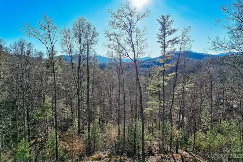 00000 Boyd Road Leicester NC 28748