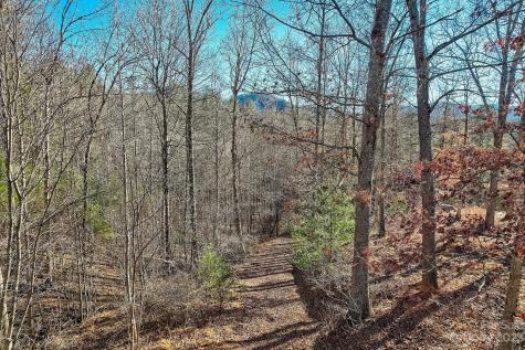 00000 Boyd Road Leicester NC 28748
