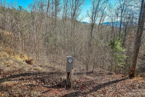 00000 Boyd Road Leicester NC 28748