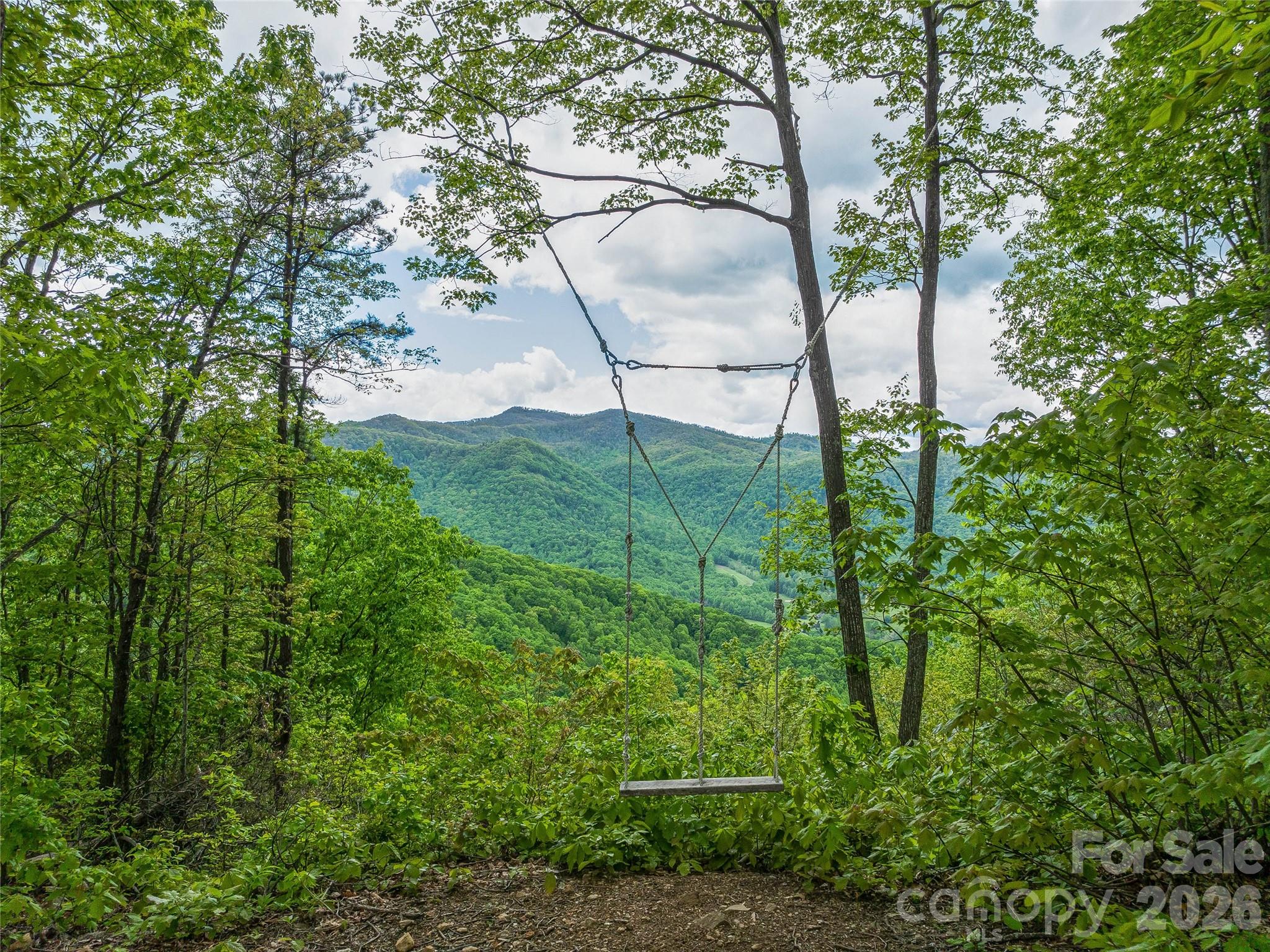 59 Pisgah Mountain Trail Candler NC 28715