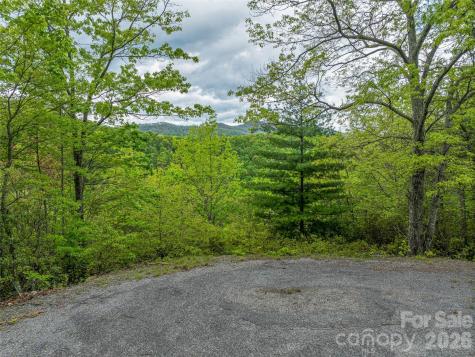 59 Pisgah Mountain Trail Candler NC 28715