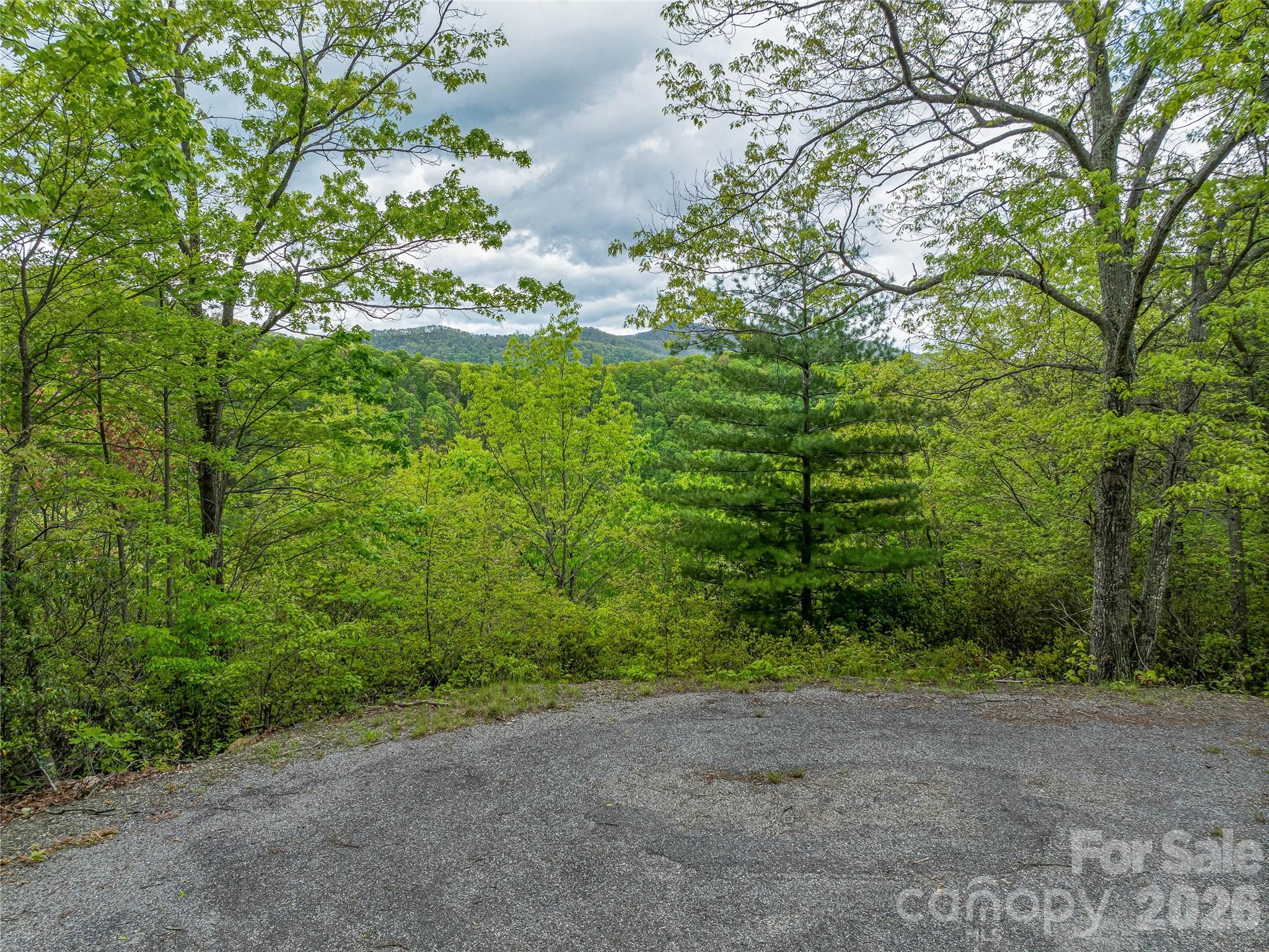 59 Pisgah Mountain Trail Candler NC 28715