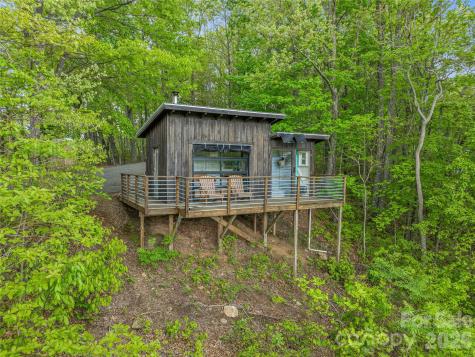 59 Pisgah Mountain Trail Candler NC 28715