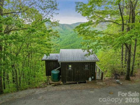 59 Pisgah Mountain Trail Candler NC 28715