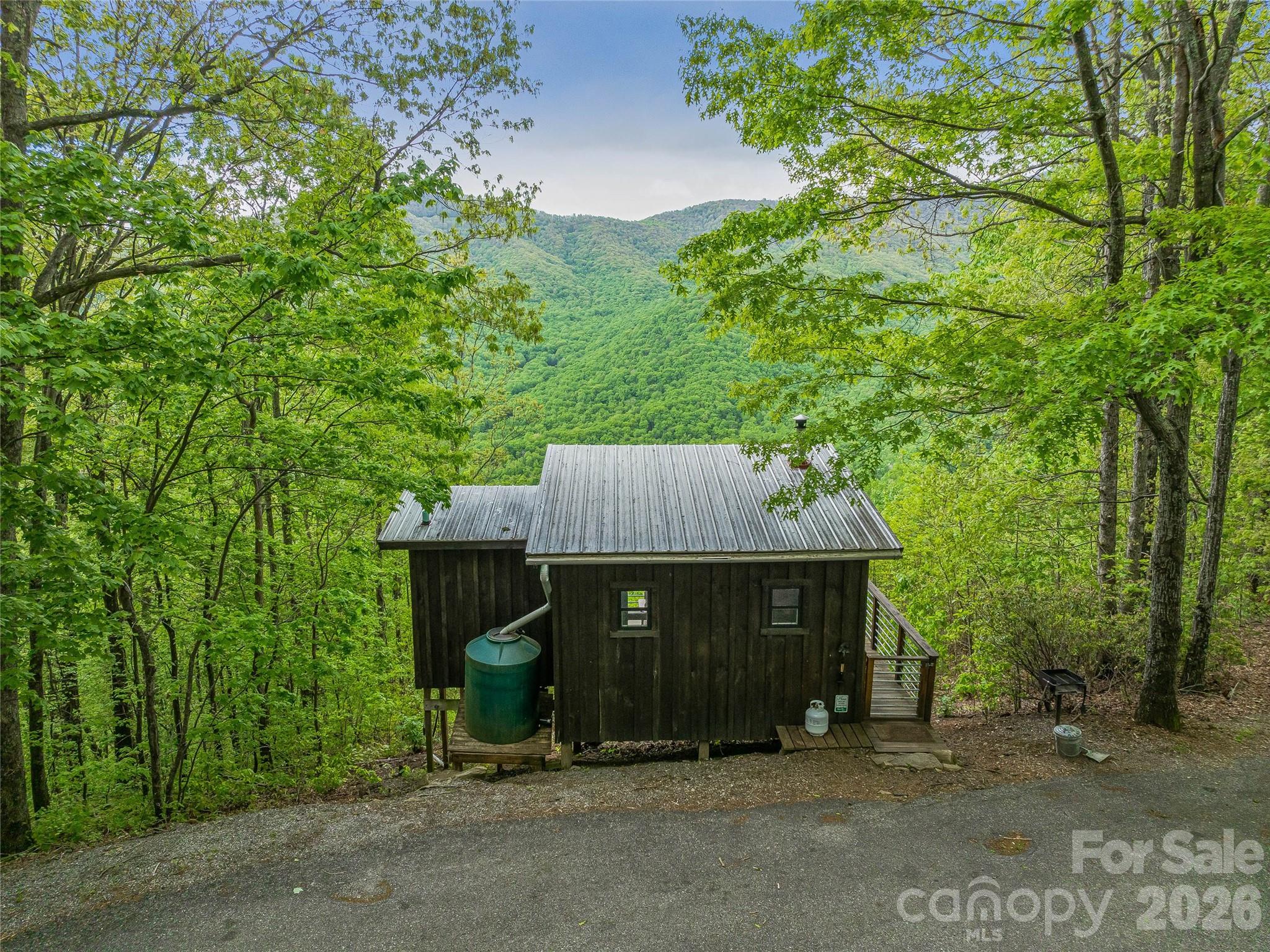 59 Pisgah Mountain Trail Candler NC 28715