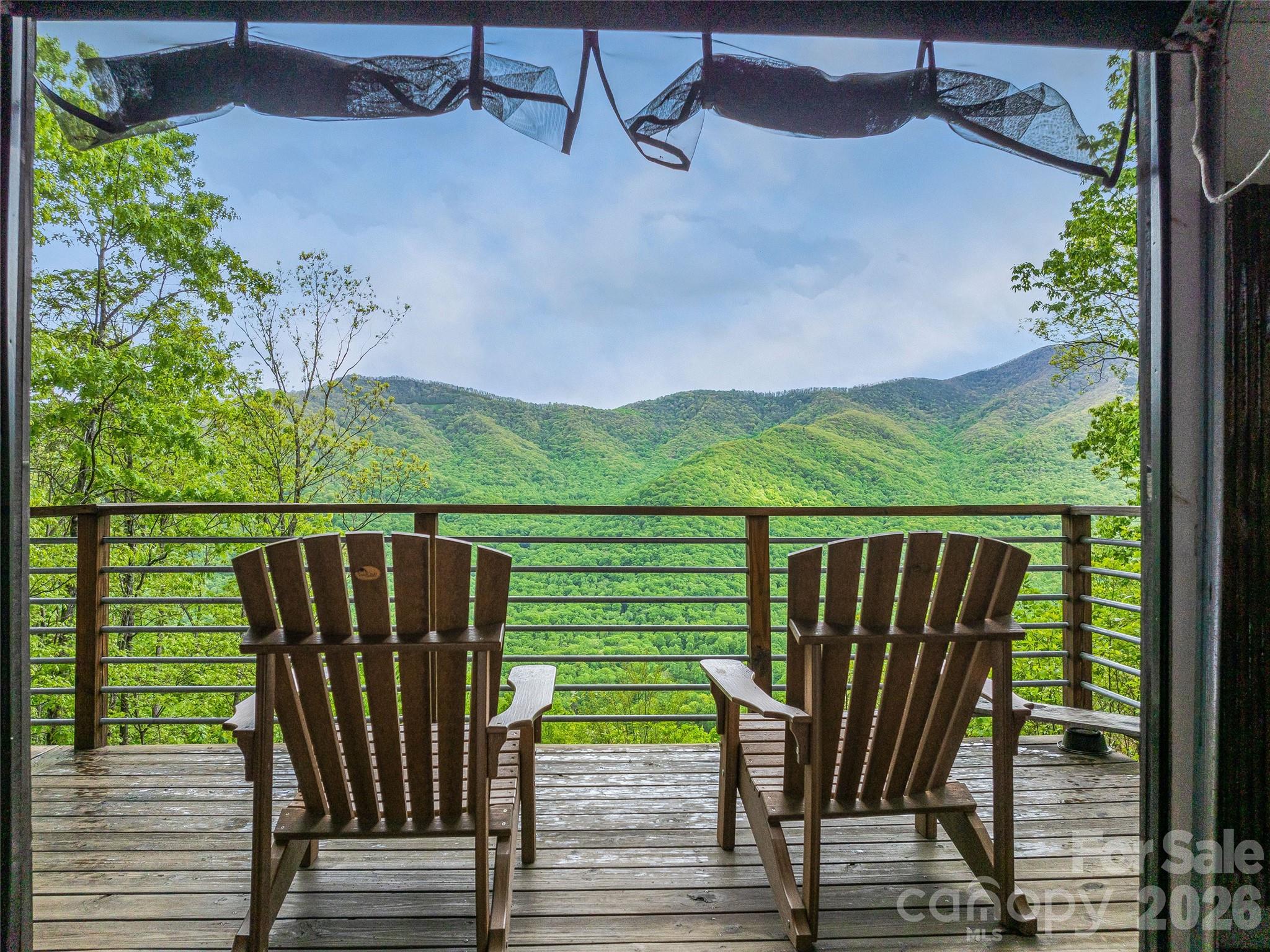 59 Pisgah Mountain Trail Candler NC 28715