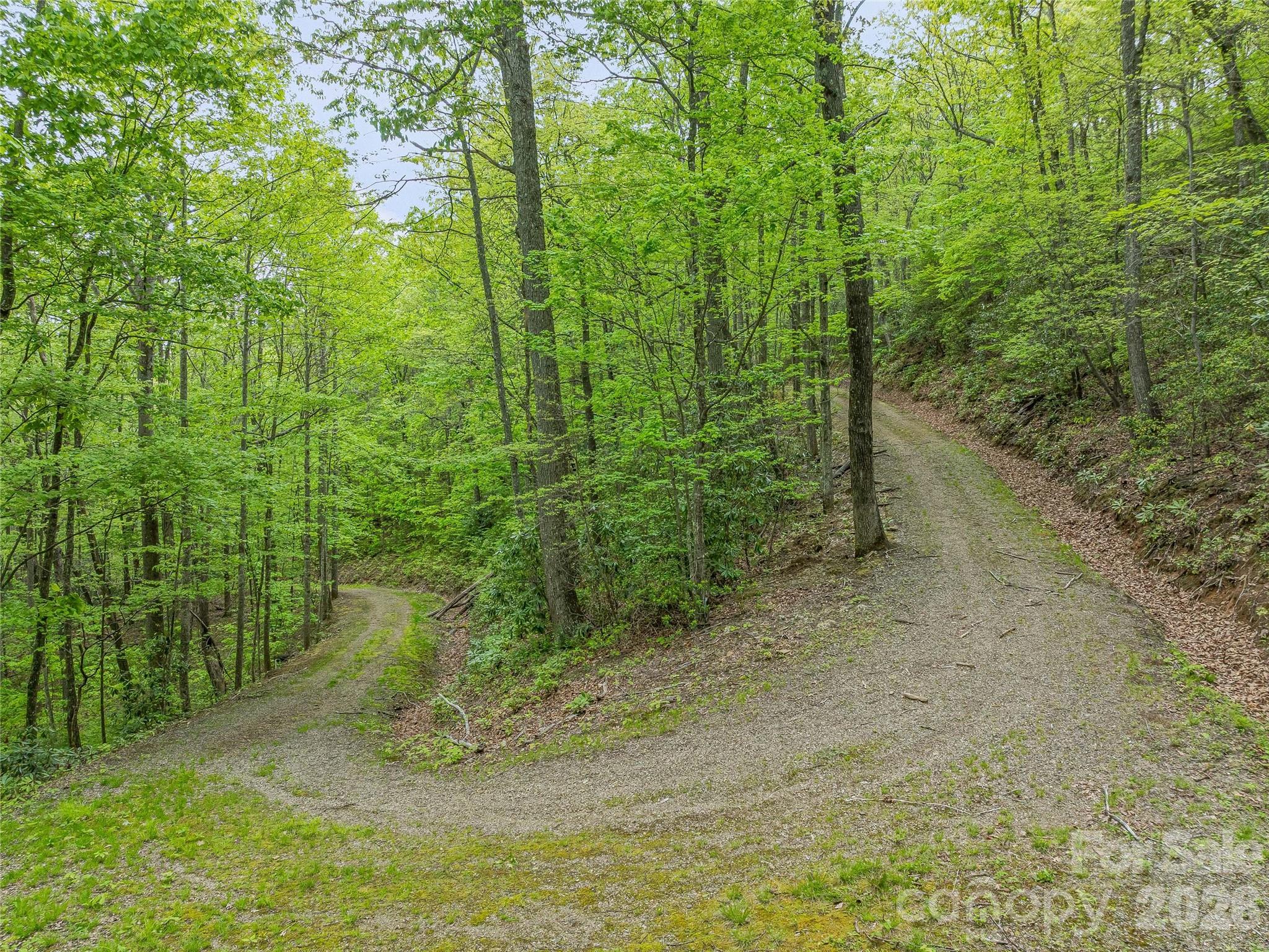 59 Pisgah Mountain Trail Candler NC 28715