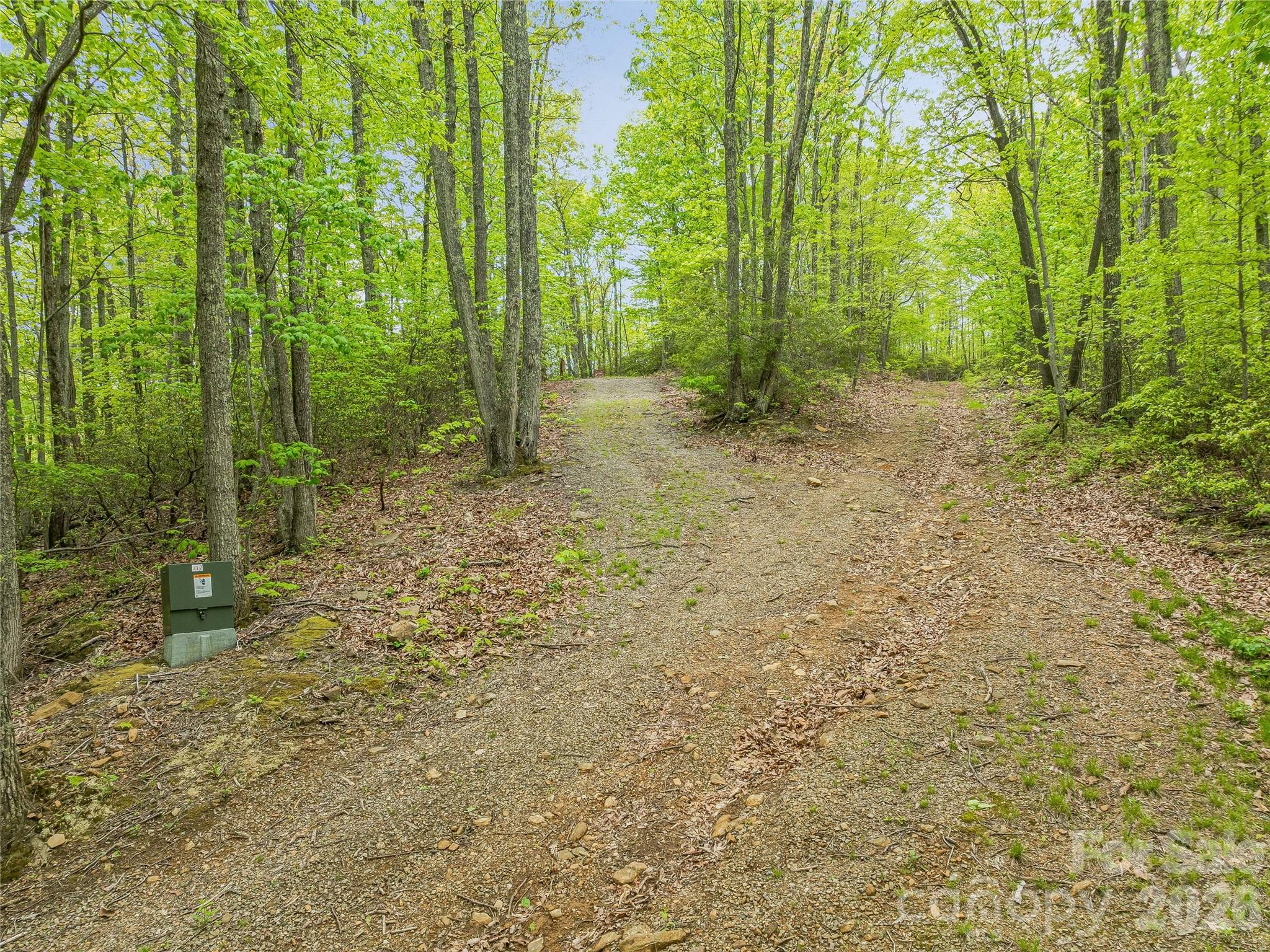 59 Pisgah Mountain Trail Candler NC 28715