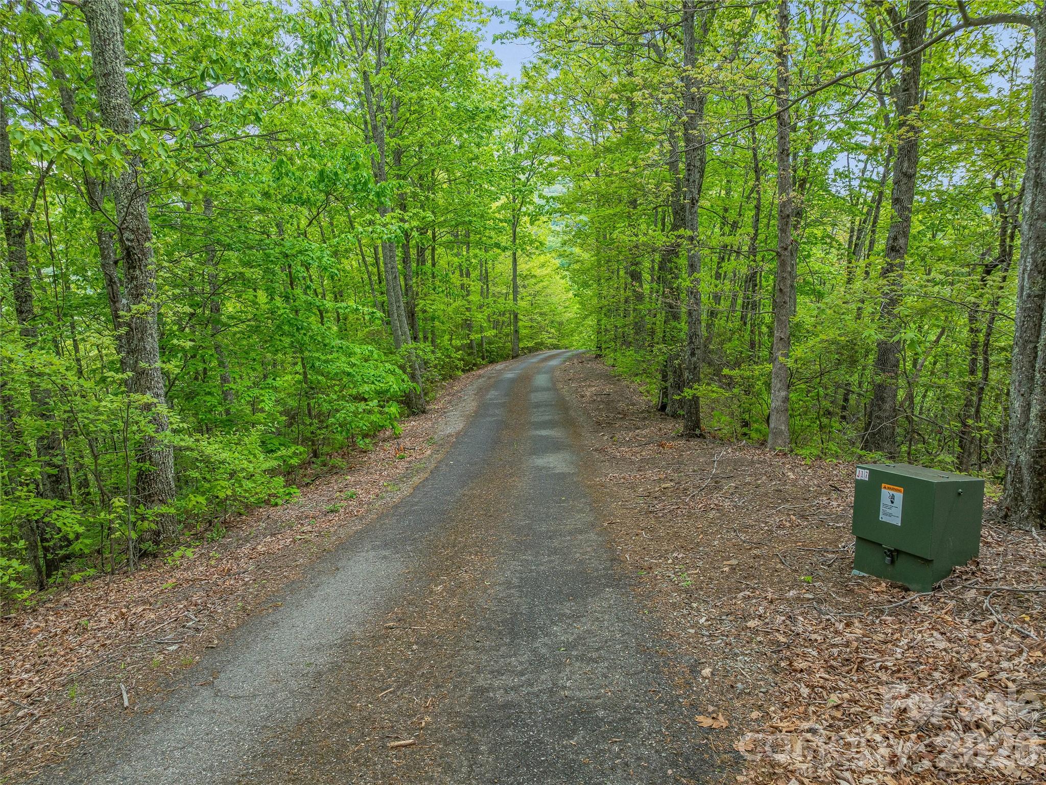 59 Pisgah Mountain Trail Candler NC 28715