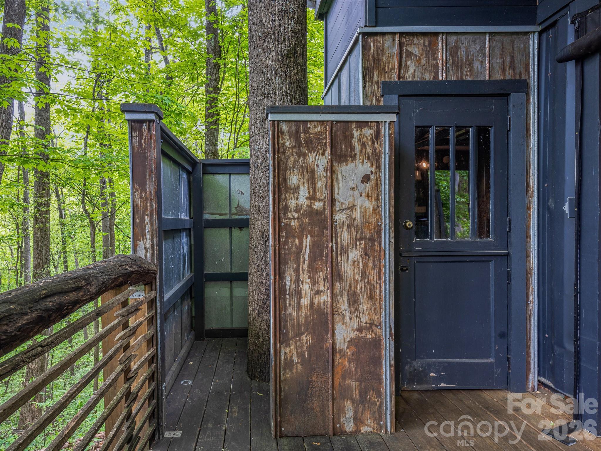 59 Pisgah Mountain Trail Candler NC 28715