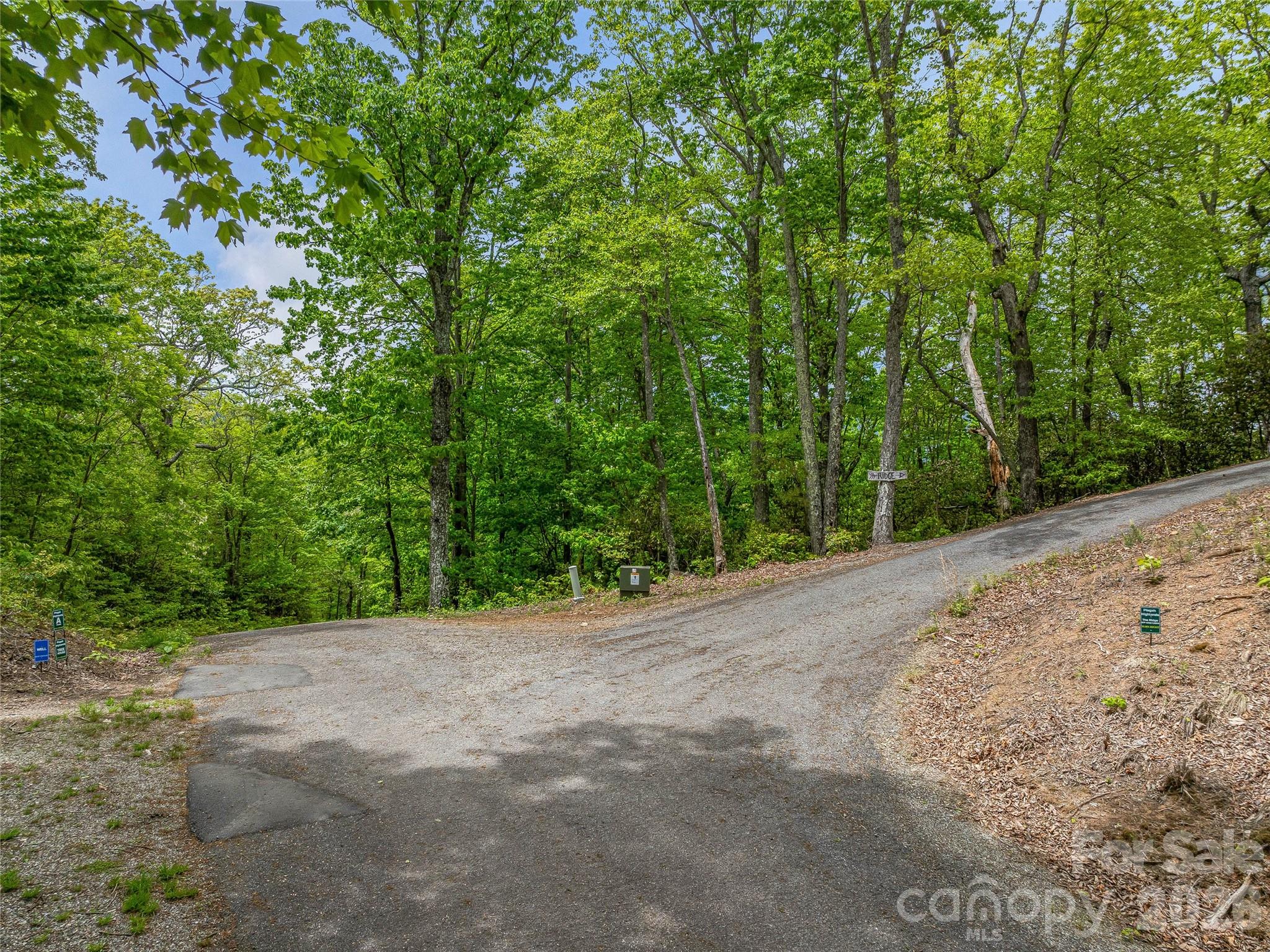59 Pisgah Mountain Trail Candler NC 28715