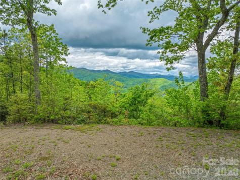 59 Pisgah Mountain Trail Candler NC 28715