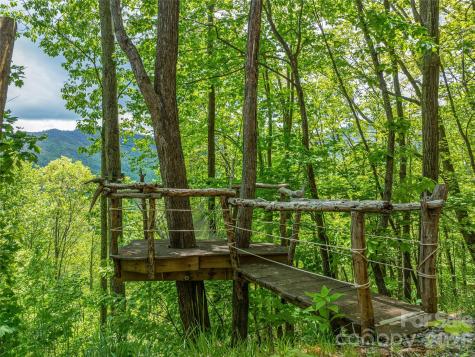 59 Pisgah Mountain Trail Candler NC 28715