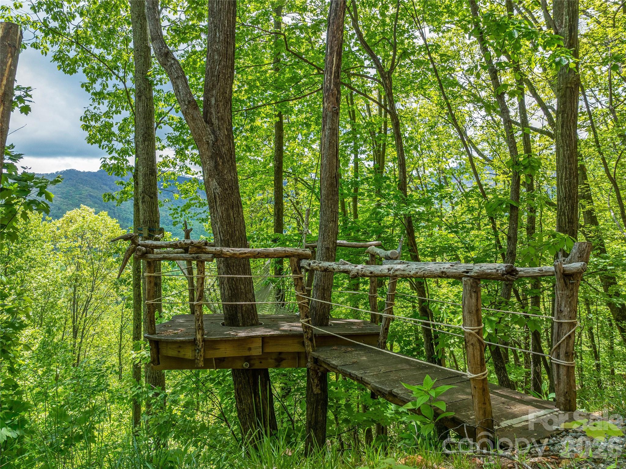 59 Pisgah Mountain Trail Candler NC 28715