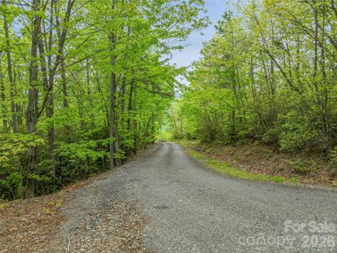 59 Pisgah Mountain Trail Candler NC 28715