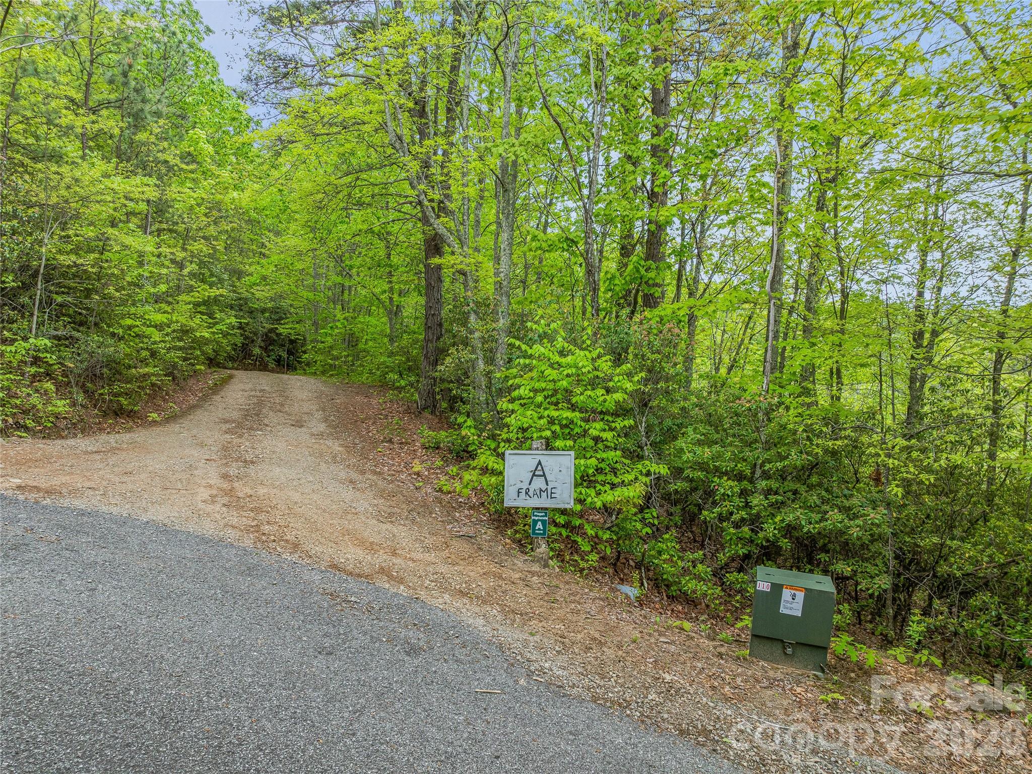 59 Pisgah Mountain Trail Candler NC 28715