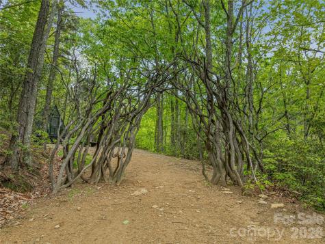 59 Pisgah Mountain Trail Candler NC 28715