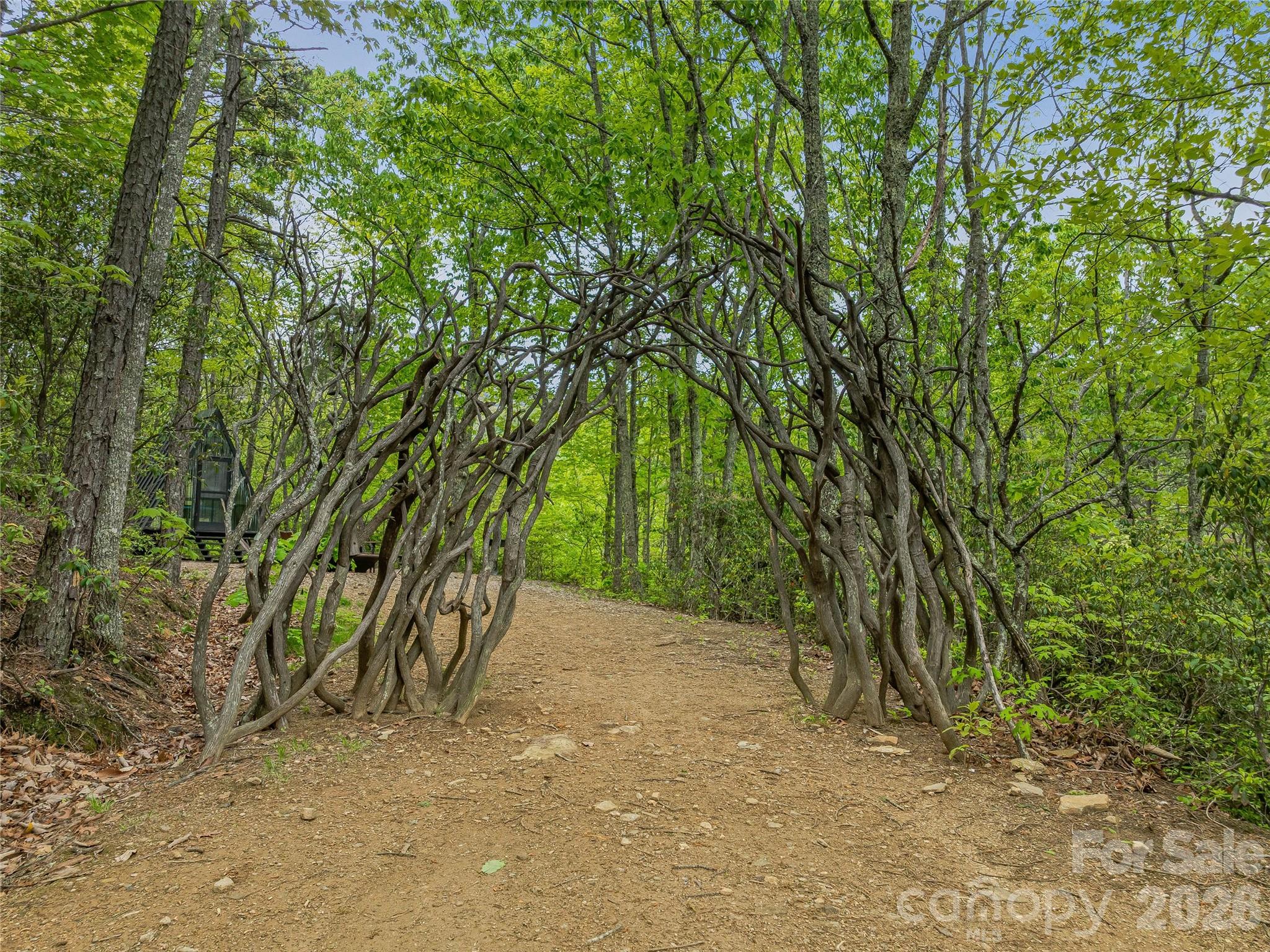 59 Pisgah Mountain Trail Candler NC 28715
