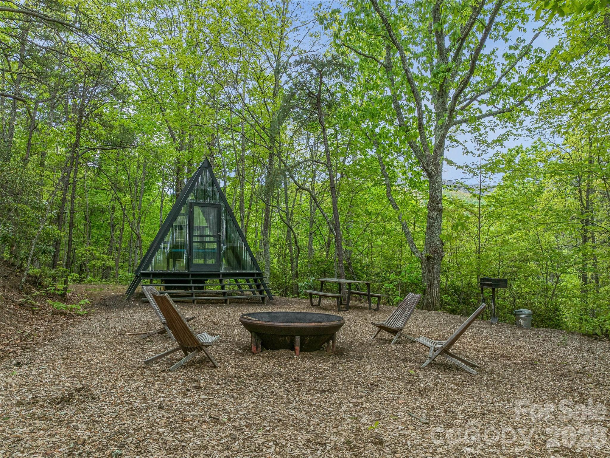 59 Pisgah Mountain Trail Candler NC 28715