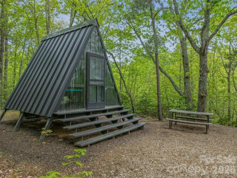 59 Pisgah Mountain Trail Candler NC 28715