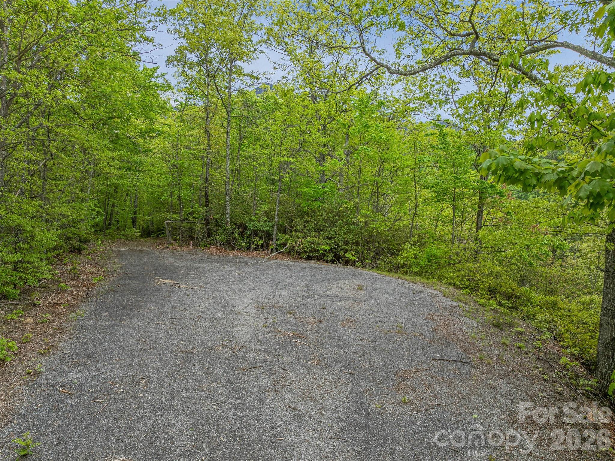 59 Pisgah Mountain Trail Candler NC 28715