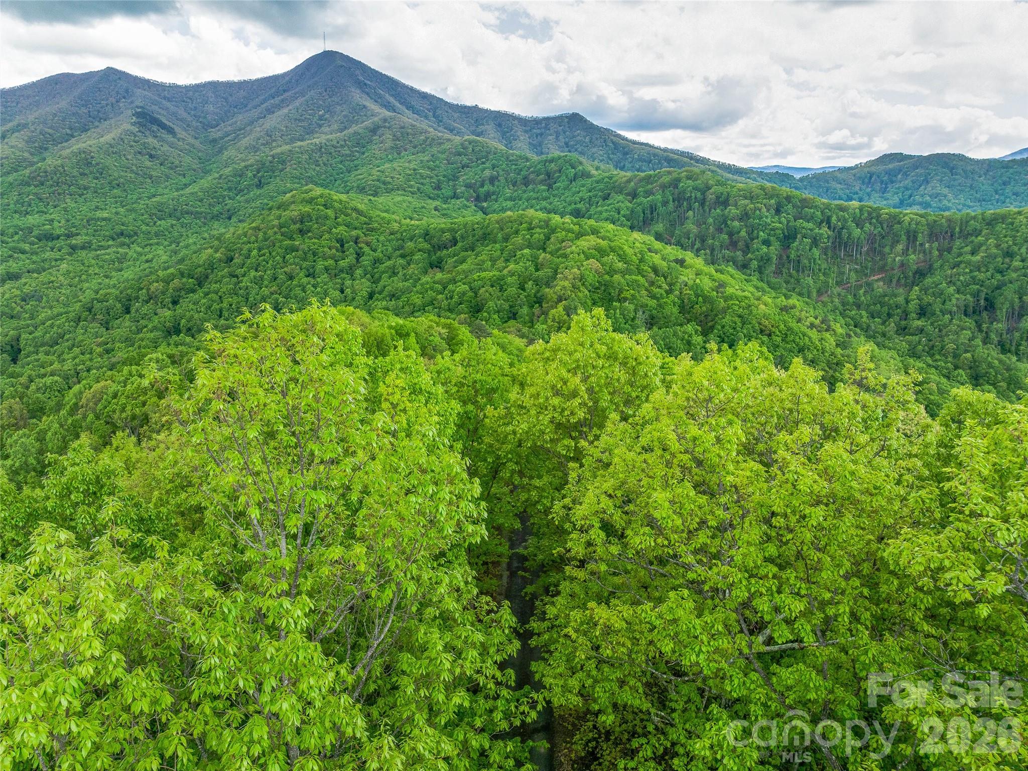 59 Pisgah Mountain Trail Candler NC 28715