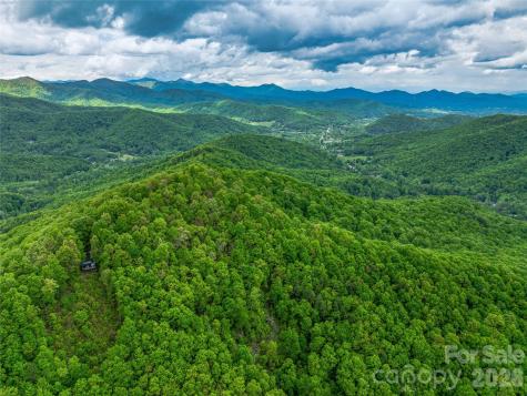 59 Pisgah Mountain Trail Candler NC 28715