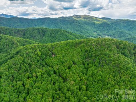 59 Pisgah Mountain Trail Candler NC 28715