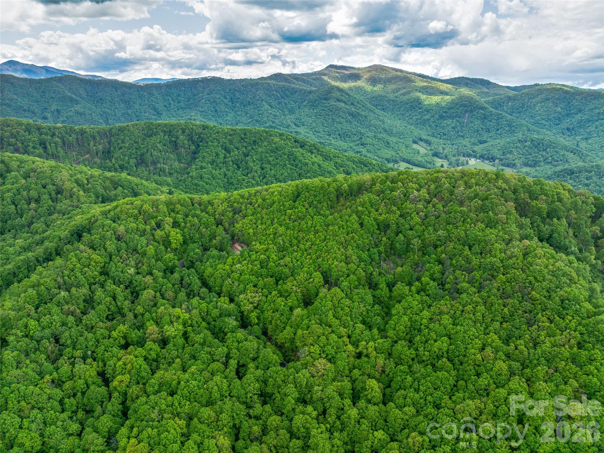 59 Pisgah Mountain Trail Candler NC 28715