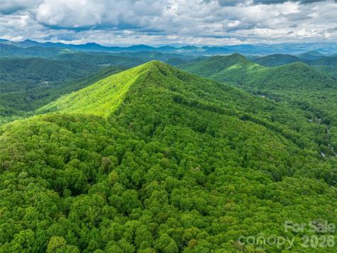 59 Pisgah Mountain Trail Candler NC 28715