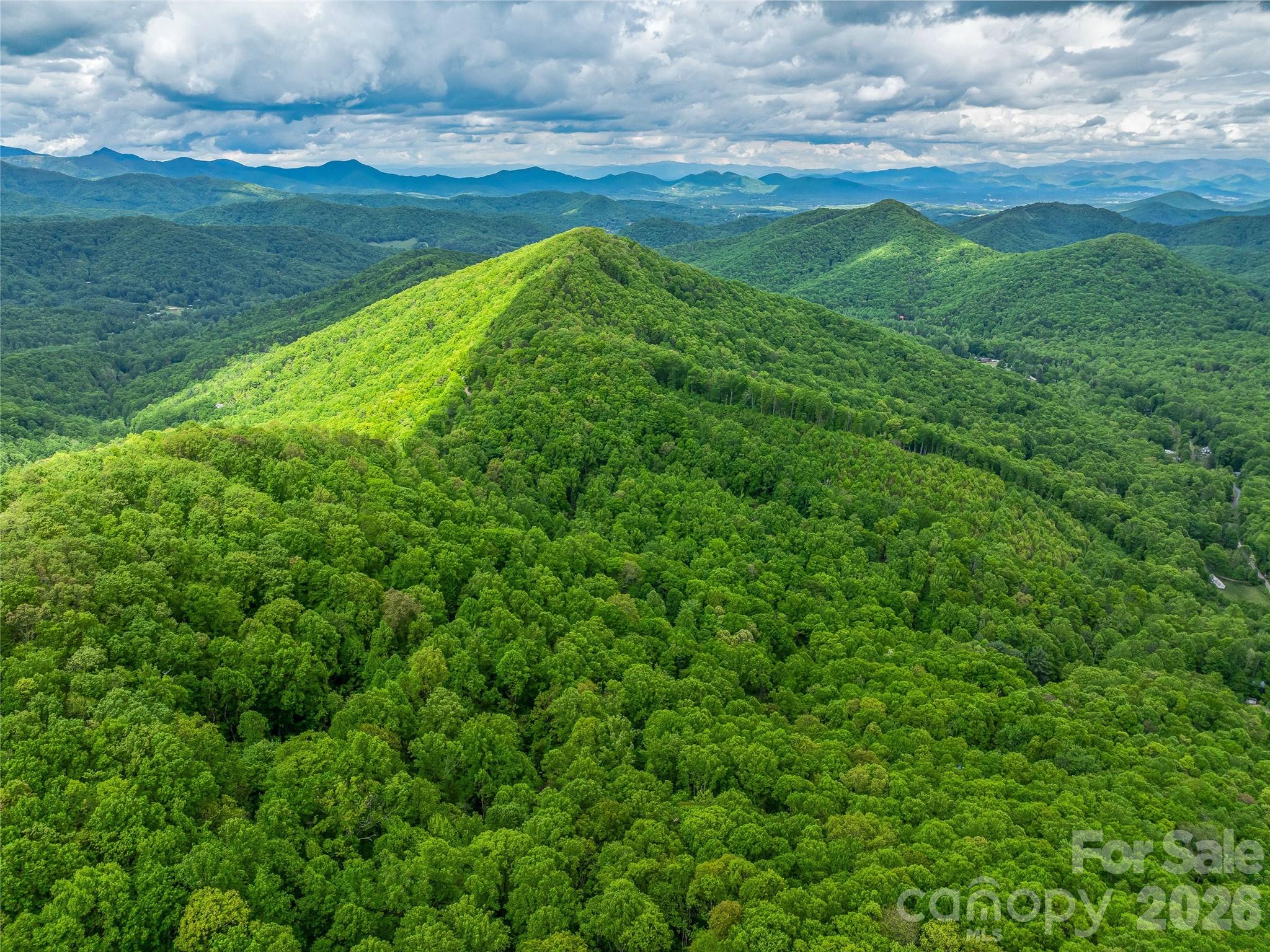59 Pisgah Mountain Trail Candler NC 28715