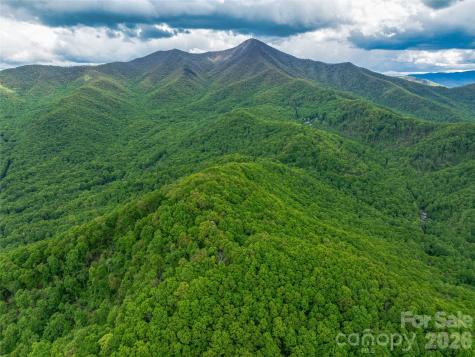 59 Pisgah Mountain Trail Candler NC 28715