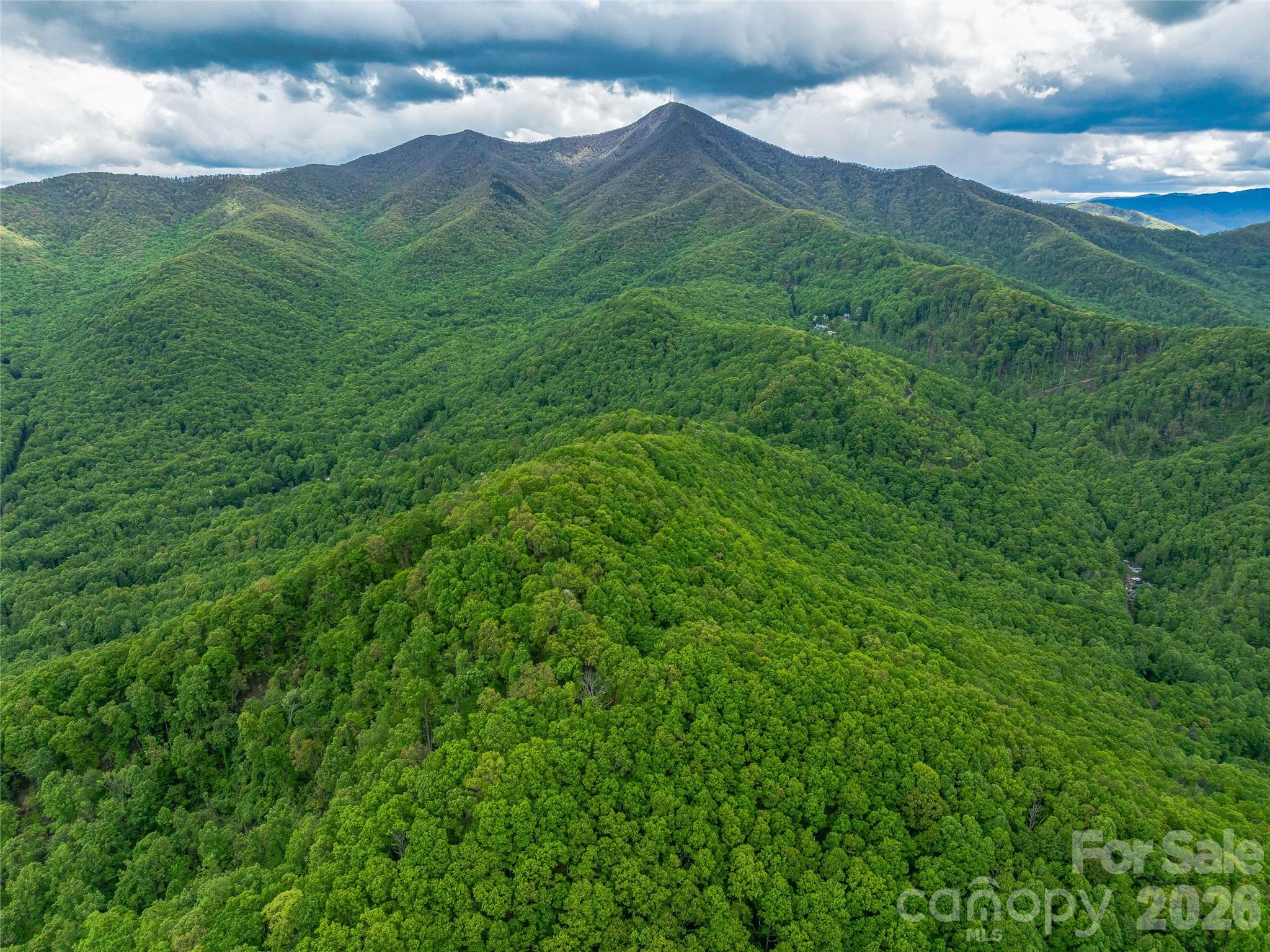 59 Pisgah Mountain Trail Candler NC 28715